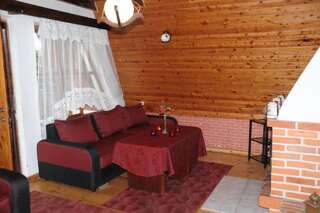 Дома для отпуска Dom Nad Jeziorem Raduńskim Borucino Вилла с 2 спальнями-11